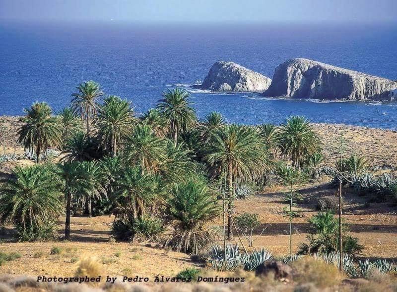 Apartmán Isleta Del Moro Daniel La Isleta del Moro Exteriér fotografie